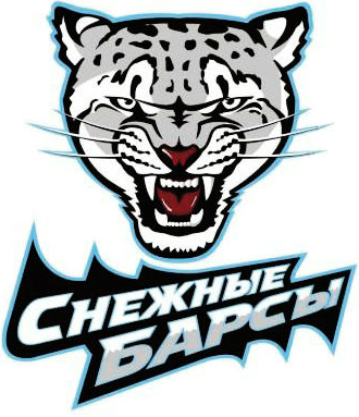 Snezhnye Barsy 2011-Pres Primary Logo iron on transfers for T-shirts